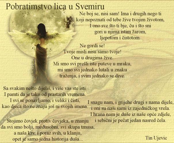 pobratimstvolicausvemiru.jpg