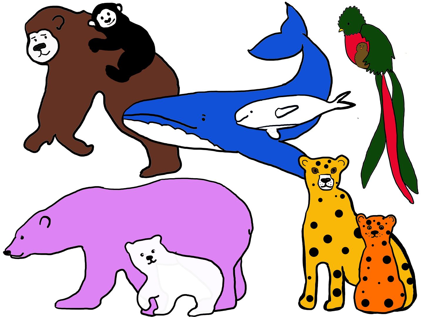 Rare_species photo _1.jpg